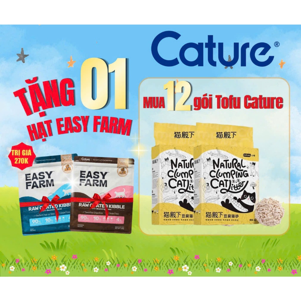 [DOMESTIC] Cature Soy Cat Cat Super Clumping and Deodorizing