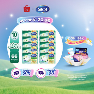 Bộ 10 hộp Bông trang điểm (bông tẩy trang) cao cấp Silcot Premium 66 miếng/hộp