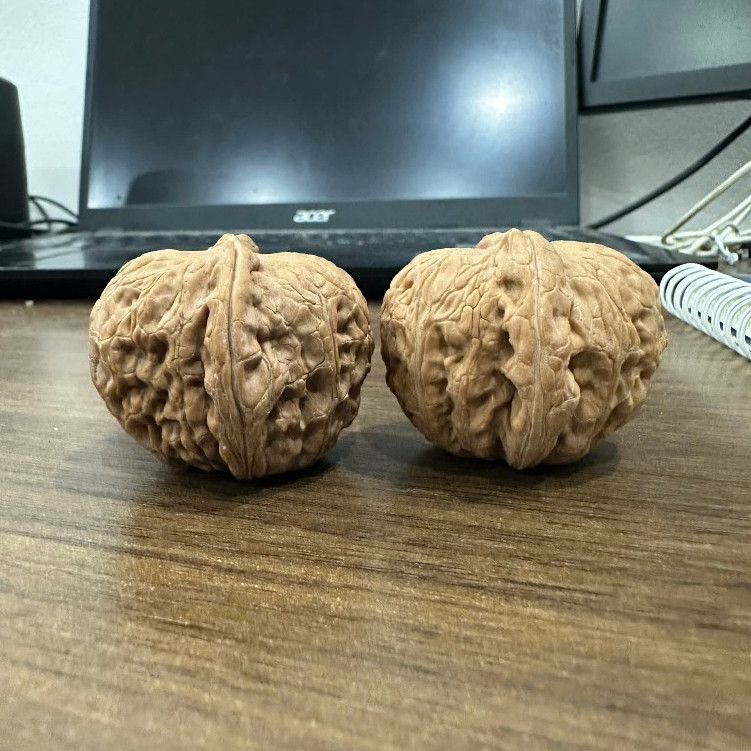 คู่ Wenwan Nguyen Bao Walnuts ขนาด 40-45mm, ลูกปัดลูกกลิ้งมือธรรมชาติ (Golden Top)