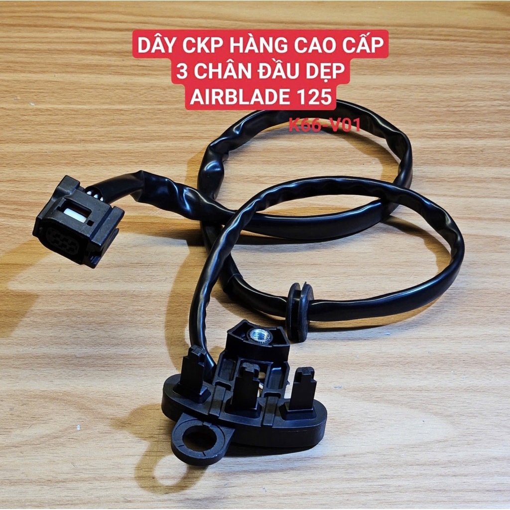 CKP K66 ลวดหัวแบน 3 พิน Ab125 (Mong ACE รองรับร้าน)