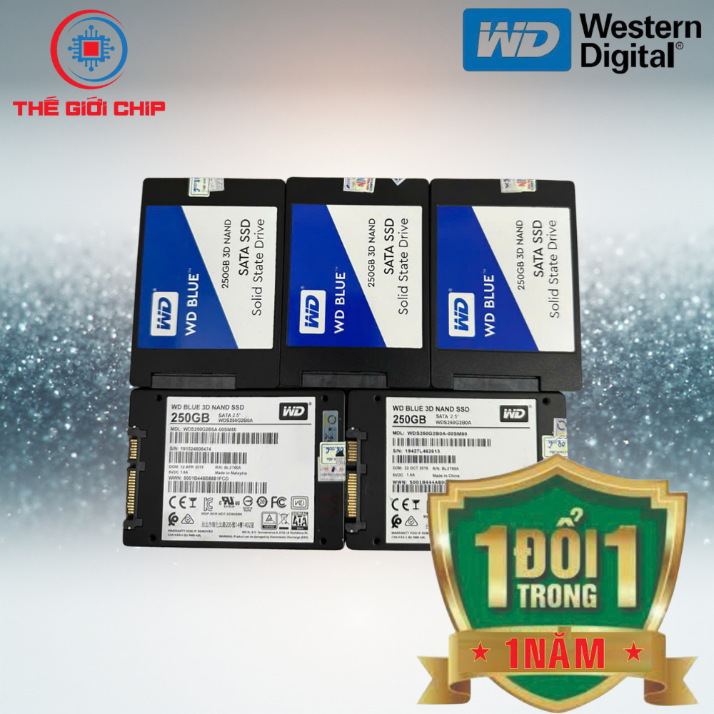 ฮาร์ดไดรฟ์ SATA 3 SSD 250GB*500GB Western Blue/Samsung Pro 870*2.5 นิ้ว (ไม่มีกล่อง) 3/ปี WD Blue* ร
