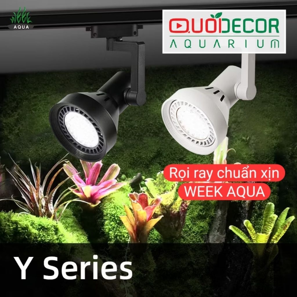 Week Aqua Y30 WRG 30W Full Spectrum Ray Light สําหรับบ่อกึ่งภูมิประเทศ Terrariums ปลูกสปอตไลท์ (ไม่ร