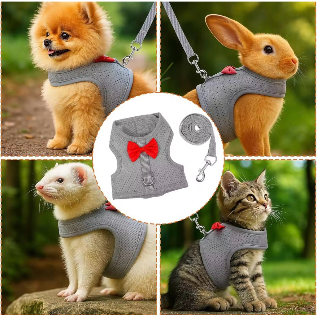 ชุดเข็มขัดและโซ่สําหรับ RABBITS DOGS CATS MOUSES SOFT WEAK รหัส 4 สําหรับ PETS DOGS CATS RABBITS AND