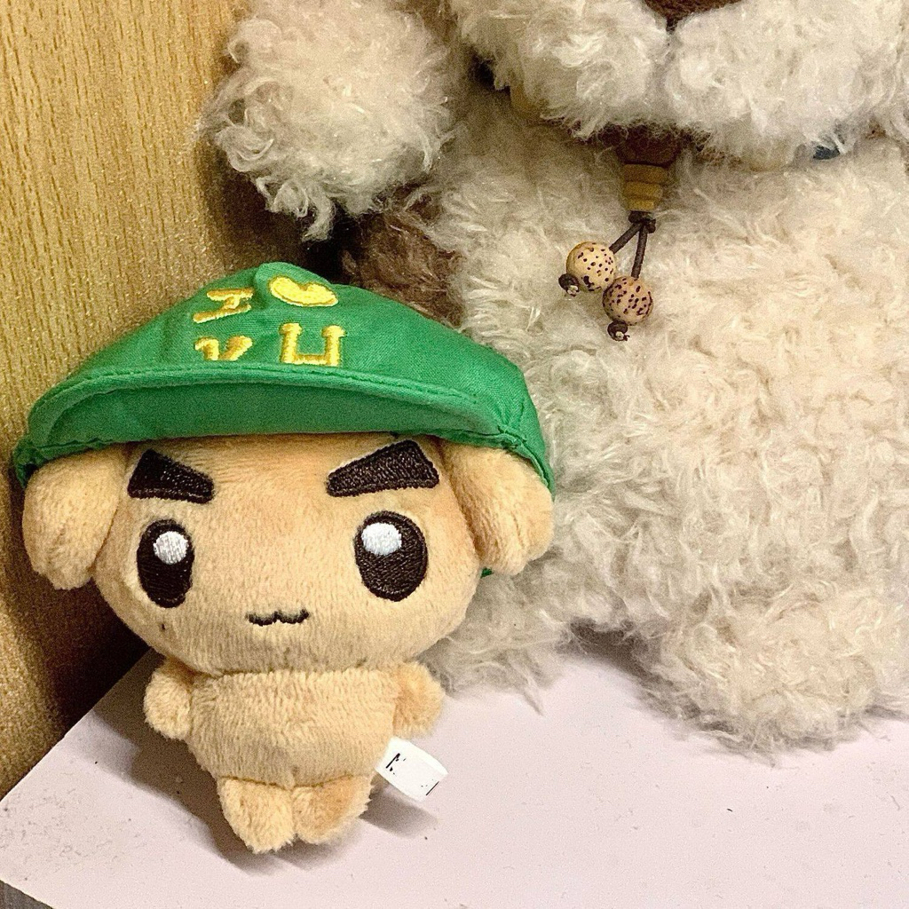 [CORTIS] ตุ๊กตา / พวงกุญแจตุ๊กตาของสมาชิก AHN KEOHO CORTIS กลุ่มไอดอล (อ่านคําอธิบายให้ละเอียด)