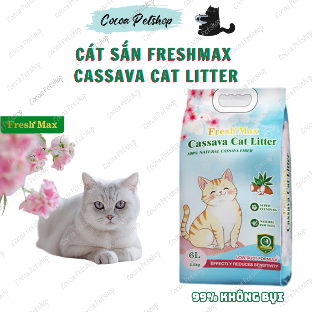 [Casava Cat] Fresh Max Cassava Cat Cat - น้ํายาทําความสะอาดสีเขียวสําหรับ Boss