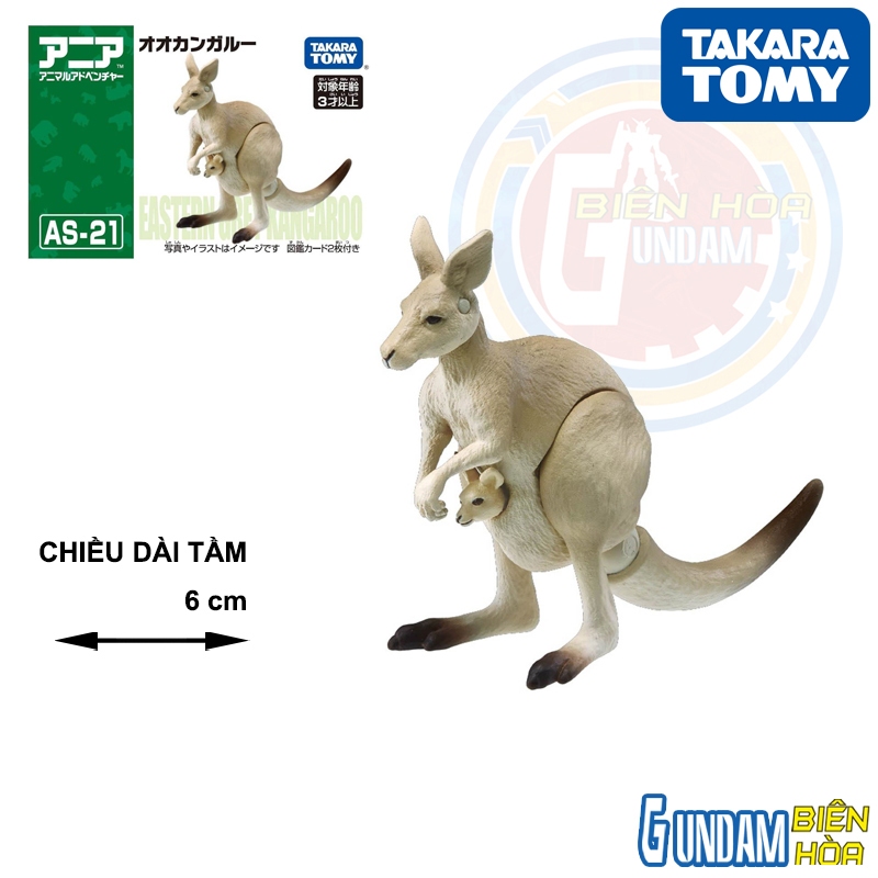 ANIA AS-21 โมเดลจิงโจ้