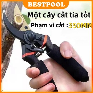 kéo cắt cây cảnh Nhật SK5,kéo cắt cành trên cao,cành cây khô thép Cắt sắc nét,Tay cầm Thoải mái Bọt biển