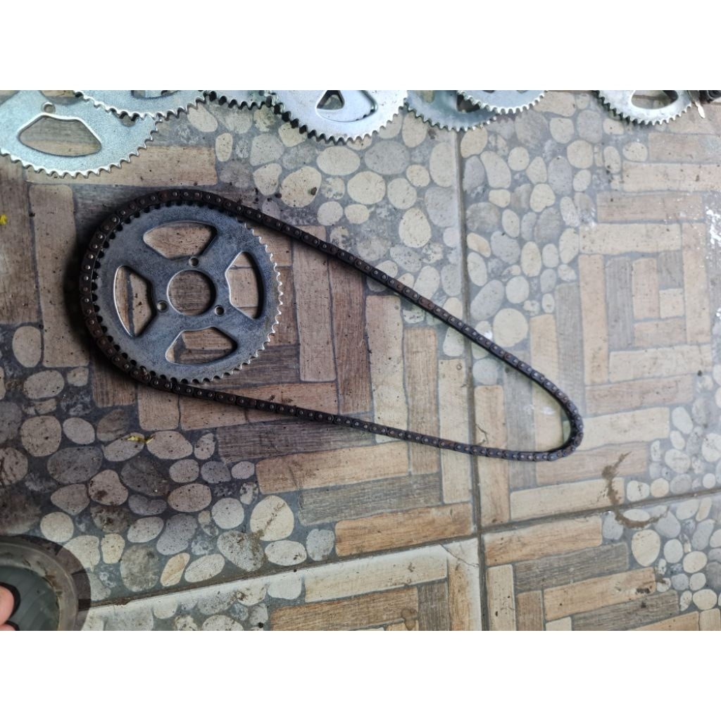 โซ่และโซ่ T8F สําหรับตั๊กแตน