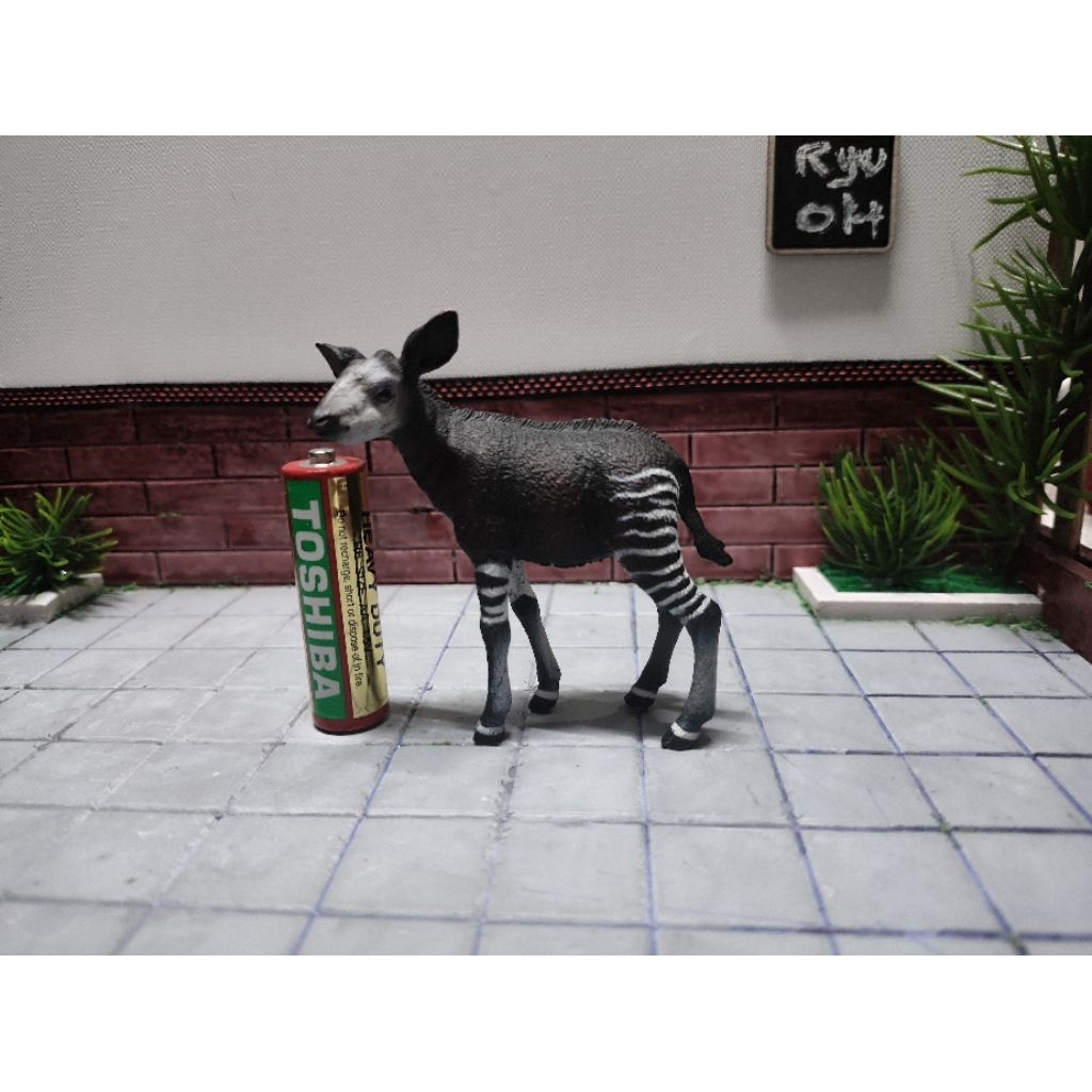 โมเดลมหาสมุทรลาย Okapi