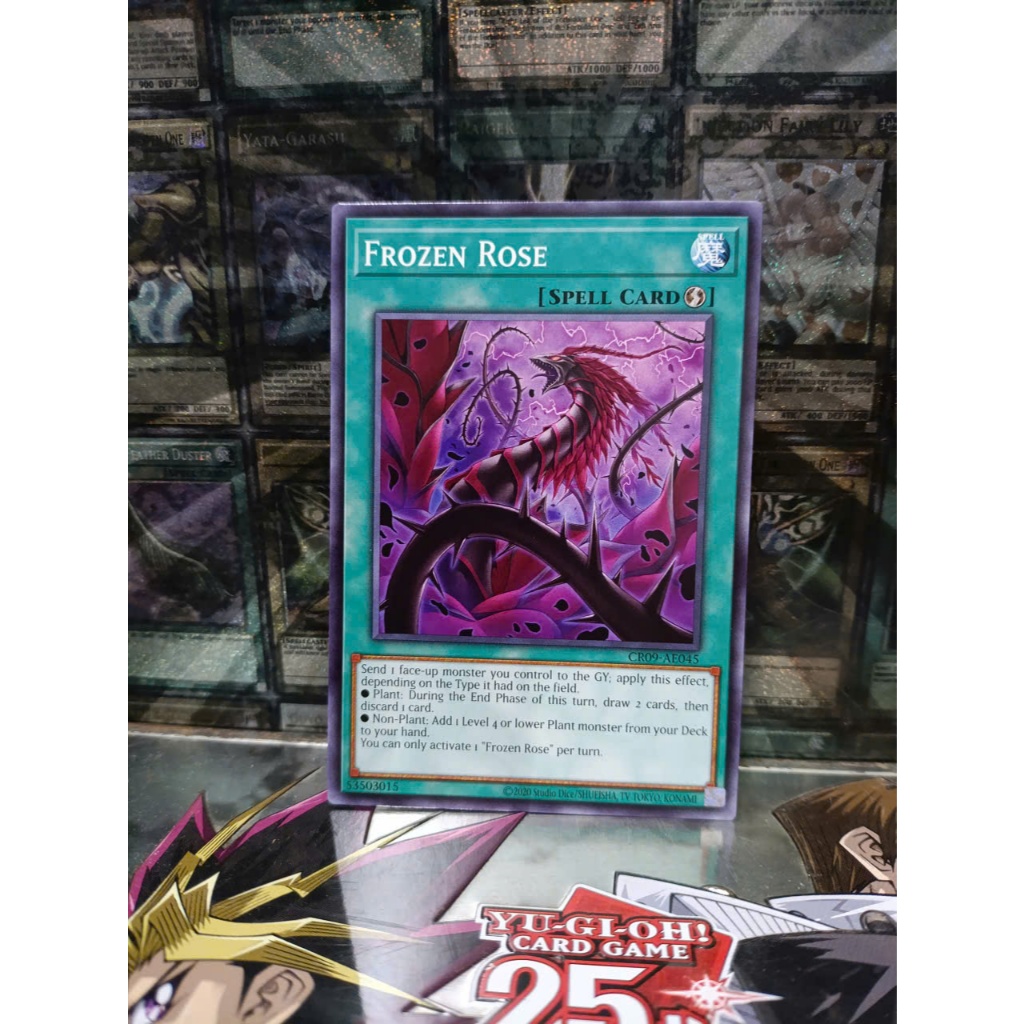 [ Peanut - โปรดดูคําอธิบาย ] Yugioh AE Spell Frozen Rose Card - CR09-AE045 - ทั่วไป