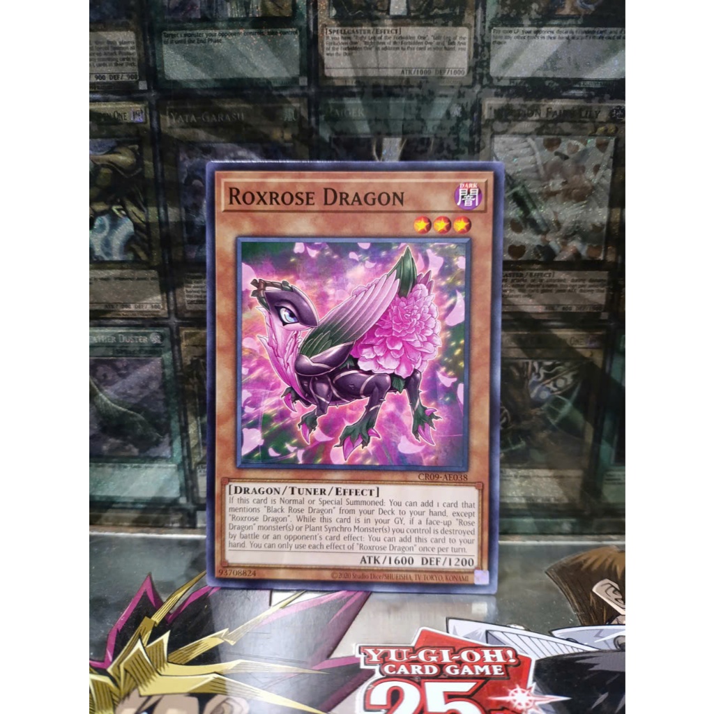 [ Peanut - โปรดดูคําอธิบาย ] Yugioh AE Roxrose Dragon Card - CR09-AE038 - ทั่วไป