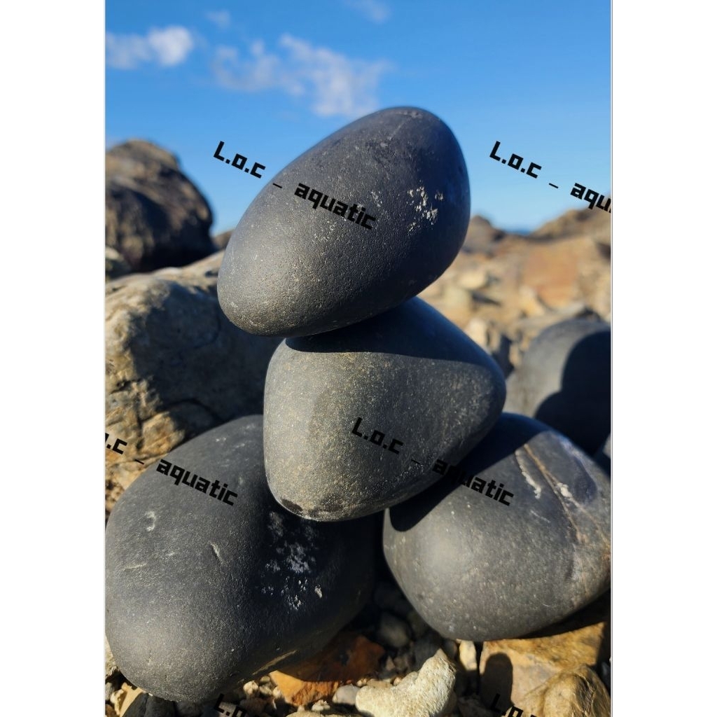 5KG _BLACK CRICKET STONE (SELECTED STONE), BLACK CRICKET STONE, AQUARIUM CRICKET, AQUARIUM CRICKET S