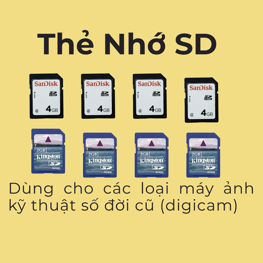 SD MEMORY CARD / DIGITAL CAMERA MEMORY CARD [USED]/SANDISK MEMORY CARD 4gb/2gb