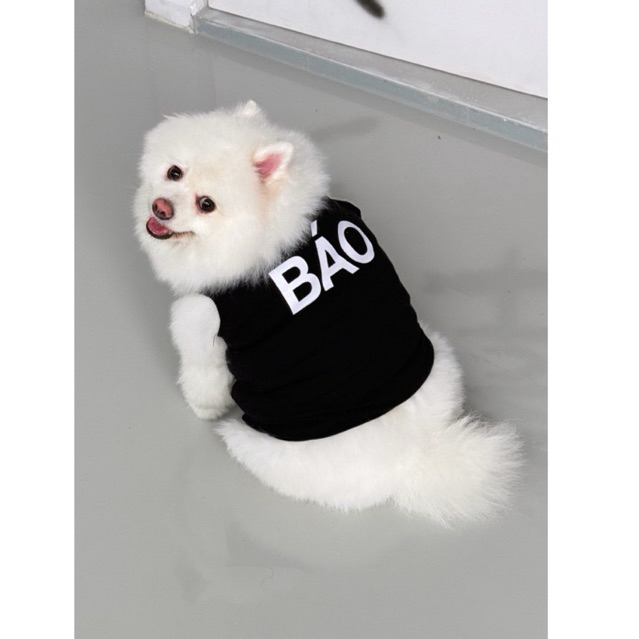 [GENUINE]- nsoh- เสื้อ PUPPY "CLOOTES" PUPPY