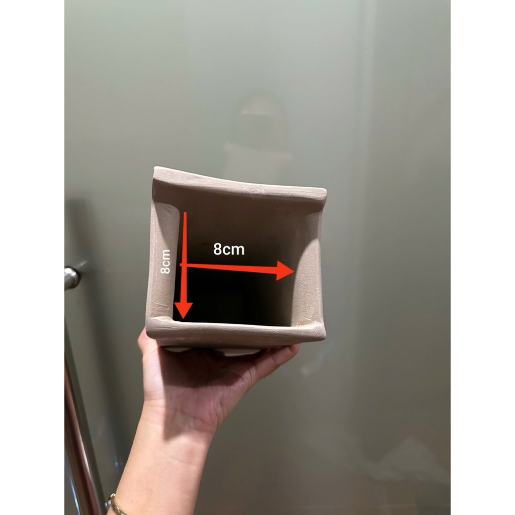 ถ้ําปลา Pleco รหัสใหญ่ pseuda