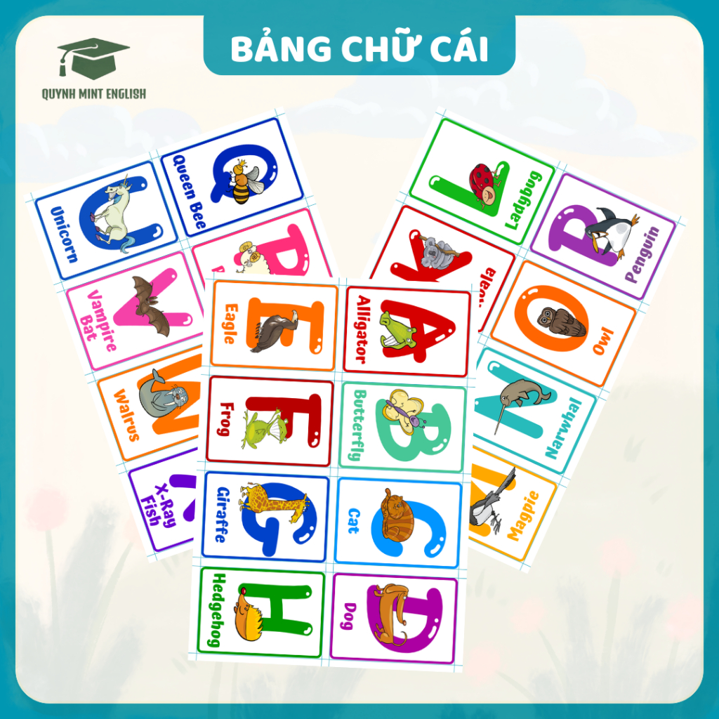 ALPHABET - ชุดการ์ดคําศัพท์ภาษาอังกฤษ - แฟลชการ์ด - การ์ดคําศัพท์ ธีมภาษาอังกฤษ ALPHABET