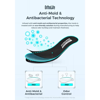 ใหม่ 2025 ของแท้ SKECHERS MEMORY FOAM LINING