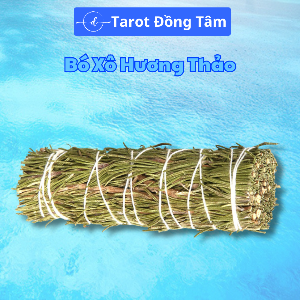 Rosemary Bucket (Rosemary 100%) TAROT Concentric - ความเจริญรุ่งเรือง เรียบเนียน