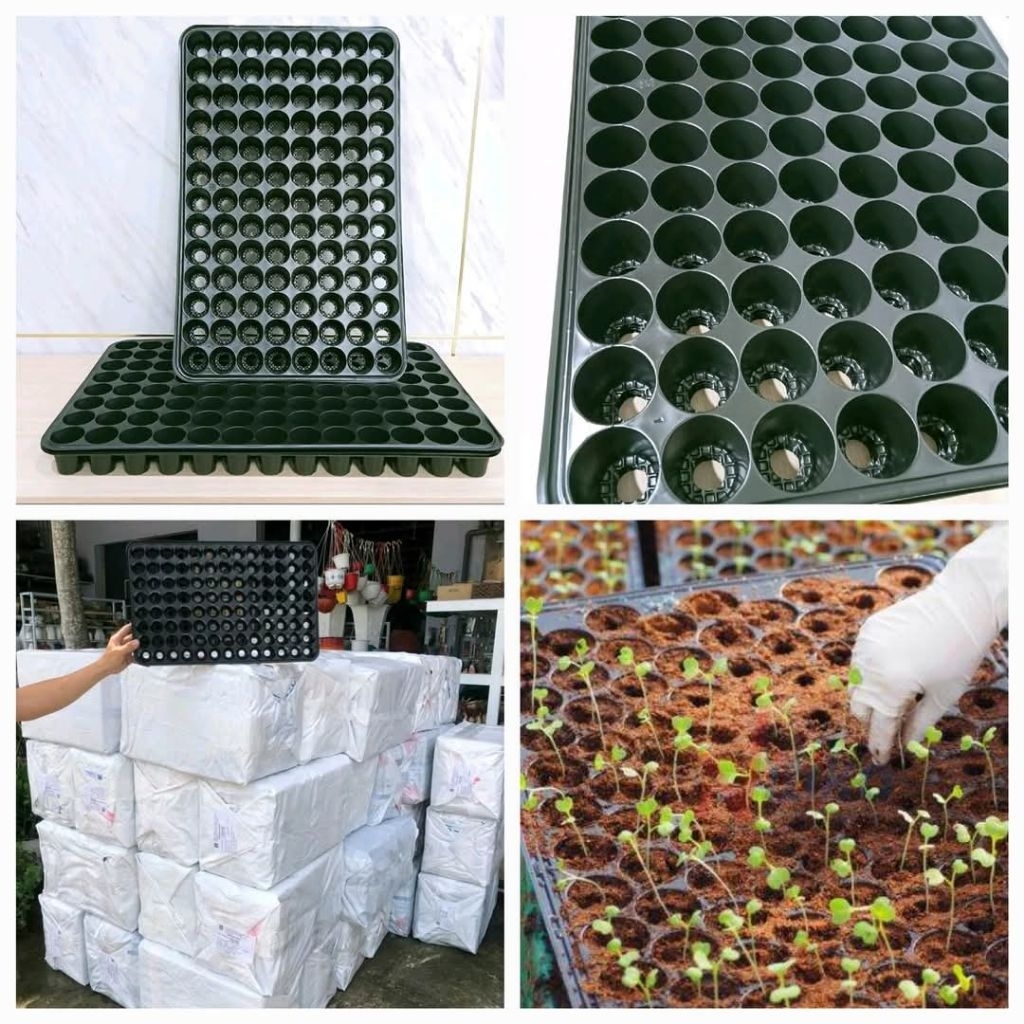 Combo 5 กระถางเนอสเซอรี่ ถาดเพาะชํา 104 หลุม ขนาดหลุม 4 ซม