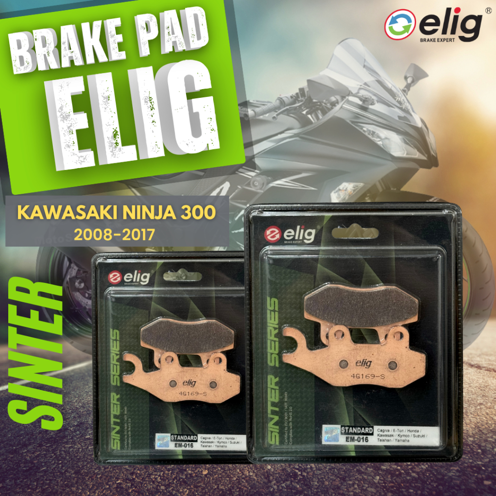 DAD TANG EMIG SINTER KAWASAKI NINJA 300 2008-2017 (ด้านหน้า EM-016, ด้านหลัง EM-016)