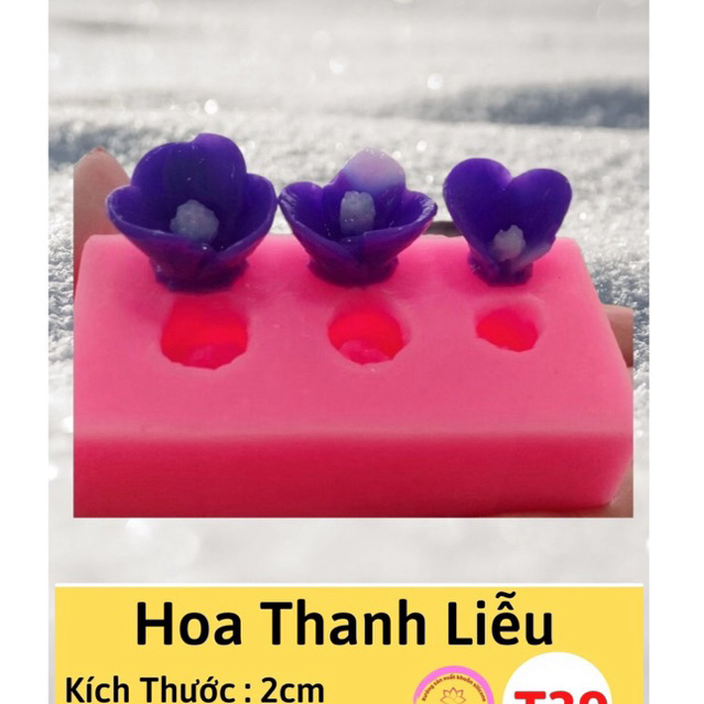 Hoa Thanh Lieu แม่พิมพ์ซิลิโคนเยลลี่ T39