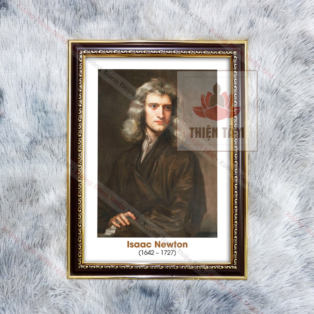 ภาพวาด Scholar Isaac Newton 36x48cm ผ้ามันพร้อมกรอบคอมโพสิตแท้