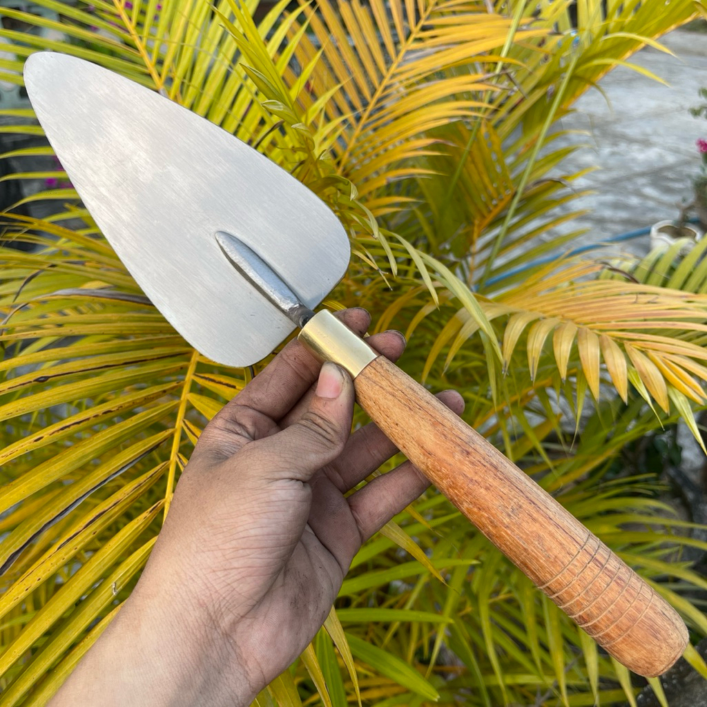 บินบนใบ THEME ของ NGUYEN