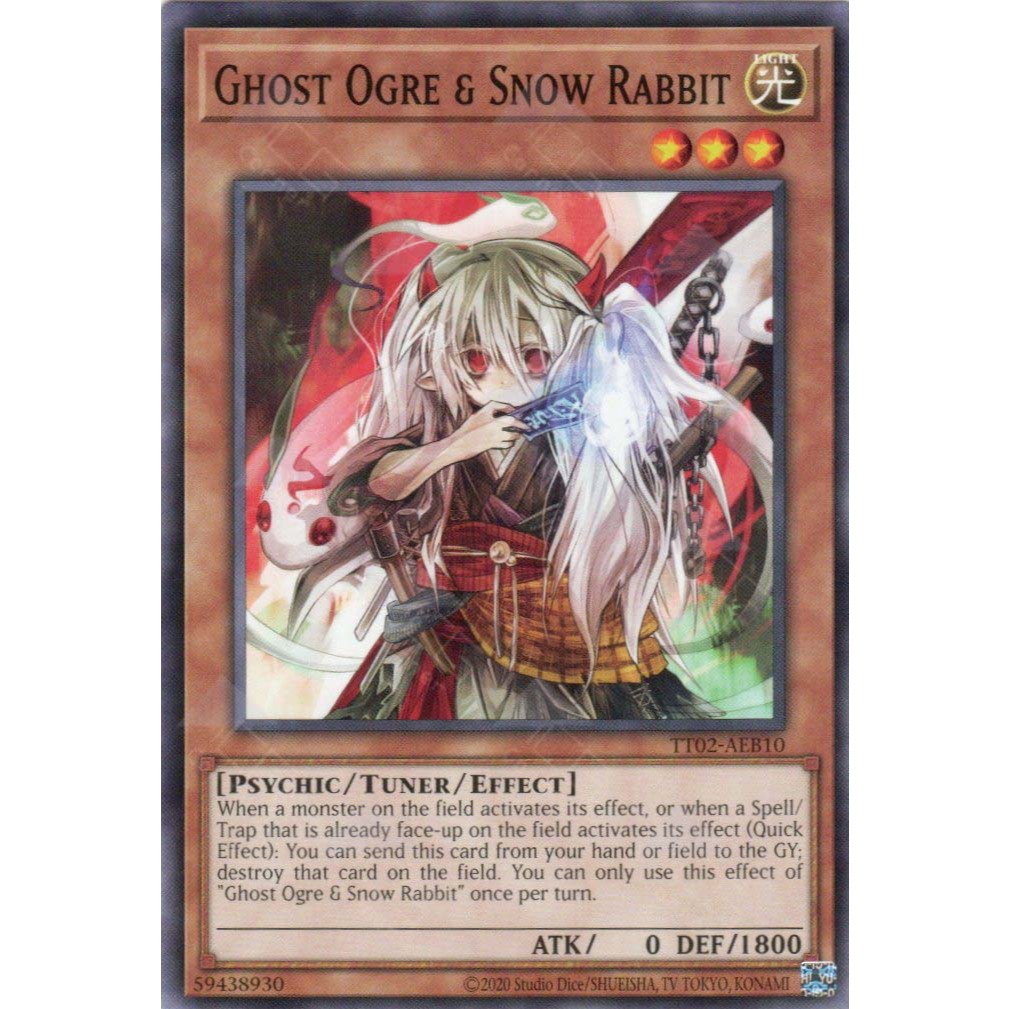Ghost Ogre & Snow Rabbit - Common AE - TT02-AEB10