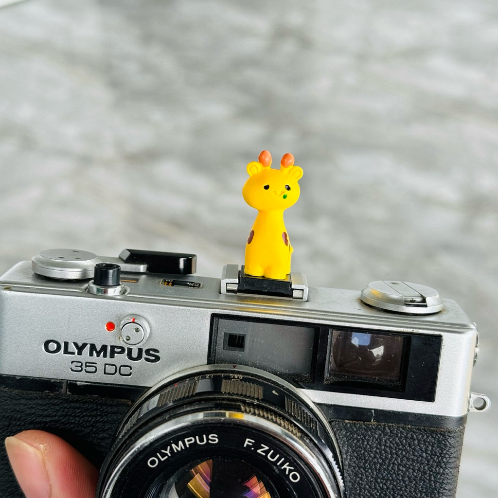 Hotshoe - ฝาครอบแฟลชกล้องการ์ตูน - รุ่น HS04