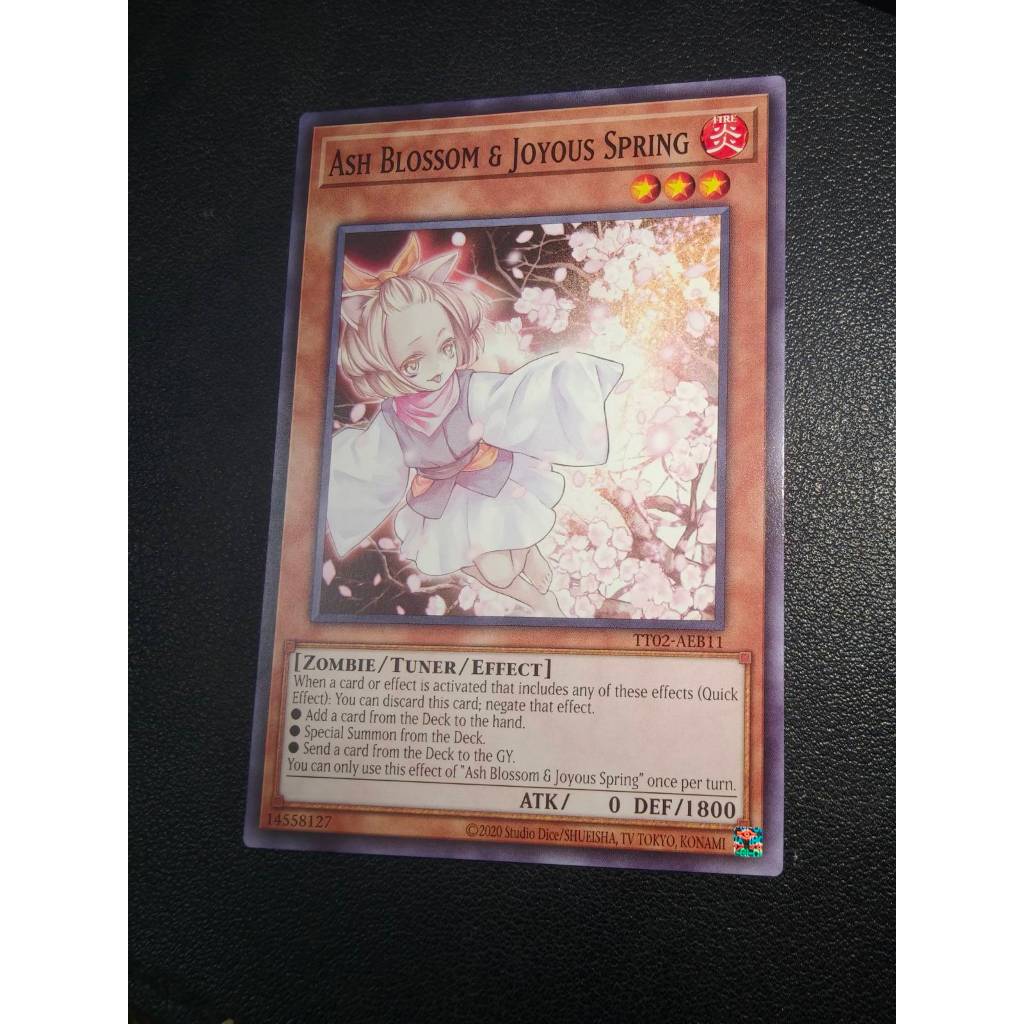 TT02-AEB11 Ash Blossom & Joyous Spring - ทั่วไป