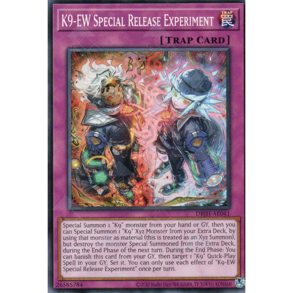 K9-EW การทดลองปล่อยพิเศษ - Common AE - DBJH-AE041