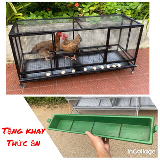 (HA chicken) Chuồng gà mái đẻ trứng gấp gọn dài 1m50 < Tặng Khay Thức ăn >