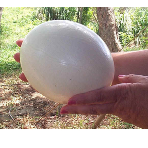 เปลือกไข่นกกระจอกเทศตกแต่งประติมากรรมที่นําโชคดีไข่ใหญ่