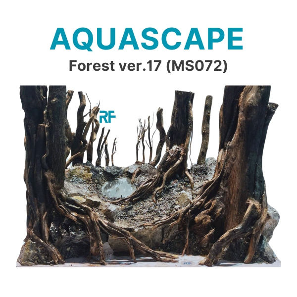 Forest Layout ver.17 Layout ตู้ปลาขนาดเล็ก ขนาด 30x20x20cm (Ms072)