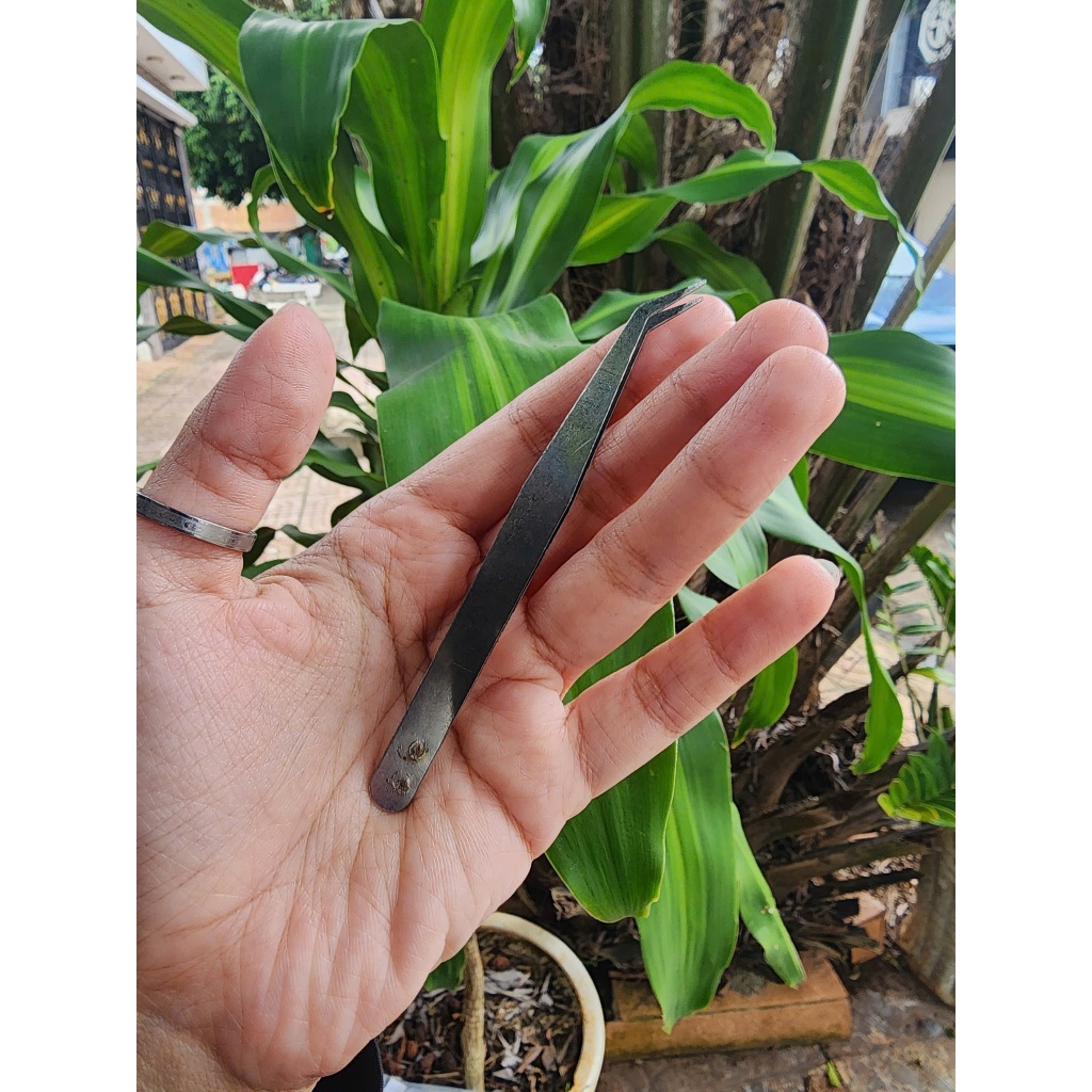 แหนบละเอียด แหนบพื้นฐานสําหรับส่วนประกอบ อุปกรณ์เสริมขนาดเล็ก - Baystore