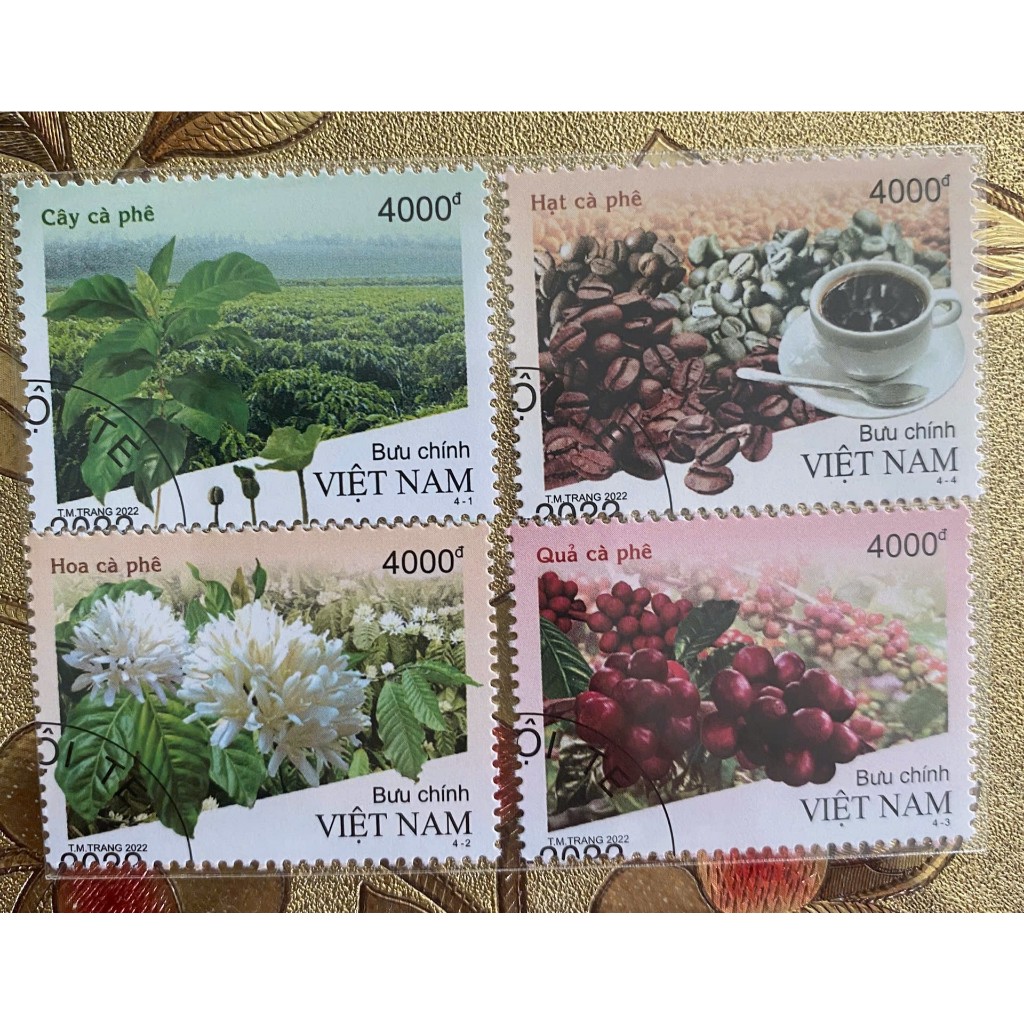 [LENHA] - MAIN STAMP - CTO DEATH STAMP - COFFEE TREE