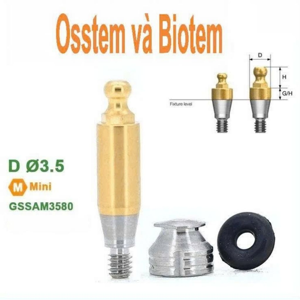 ลูกบอลอุดมสมบูรณ์เข้ากันได้กับพืช Osstem/Hiossen & Biotem
