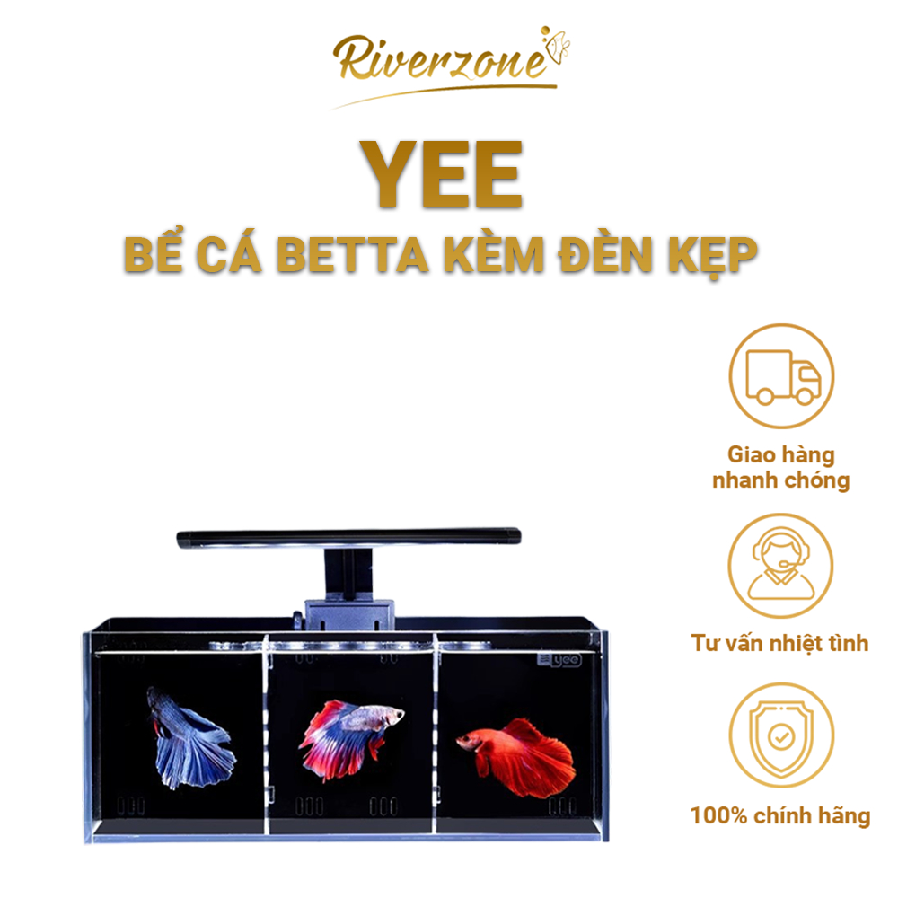 Yee/Nepall/Cherlam Mini Aquarium Combo – Office Mini Aquarium พร้อมแผ่นกรองด้านข้างรุ่นใหม่