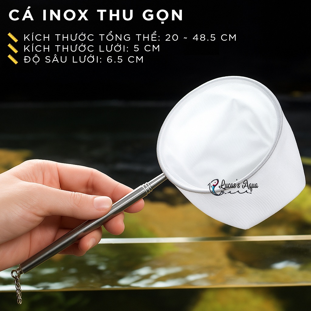 LUCAS AQUA 3D CKET - SHRIMP DRAWING CKET SPECIALIZED สําหรับ AQUARIUM PEOPLE