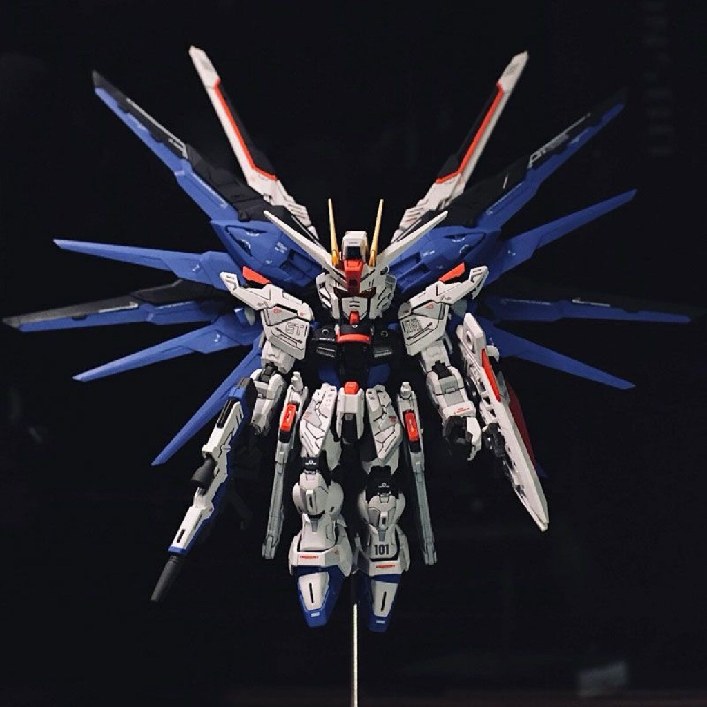 โมเดลกันดั้ม SEED MgSD Freedom