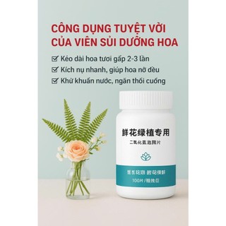 100 VIÊN DƯỠNG HOA TƯƠI LÂU - BỀN MÀU