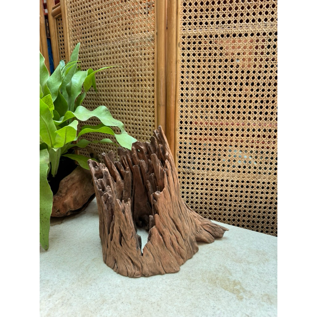 LK17 - ไม้ดริฟวูด, บล็อกดริฟวูด, ชิ้น Driftwood