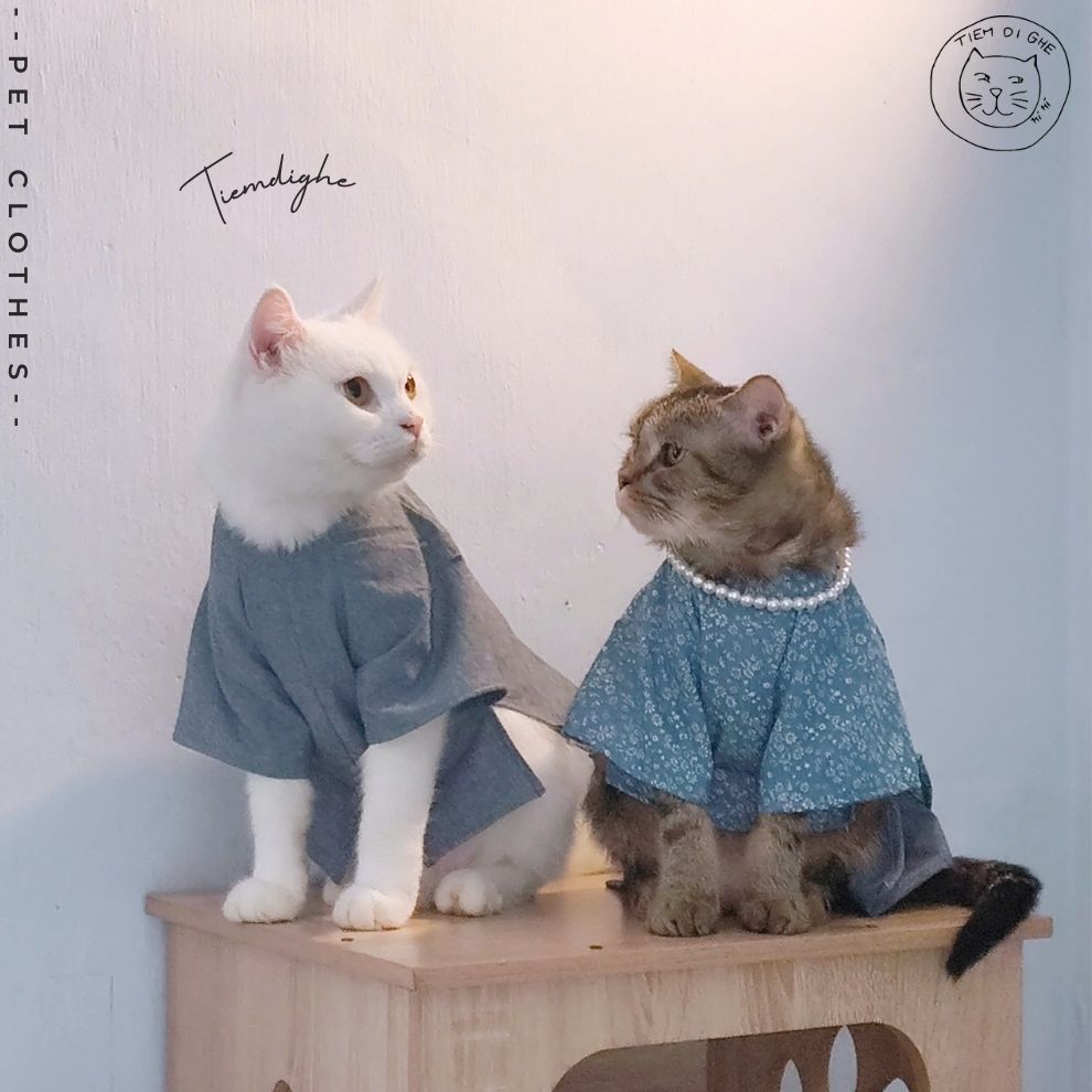 TDG124 - เสื้อ DOG AND CAT - เสื้อยืดสําหรับ PETS