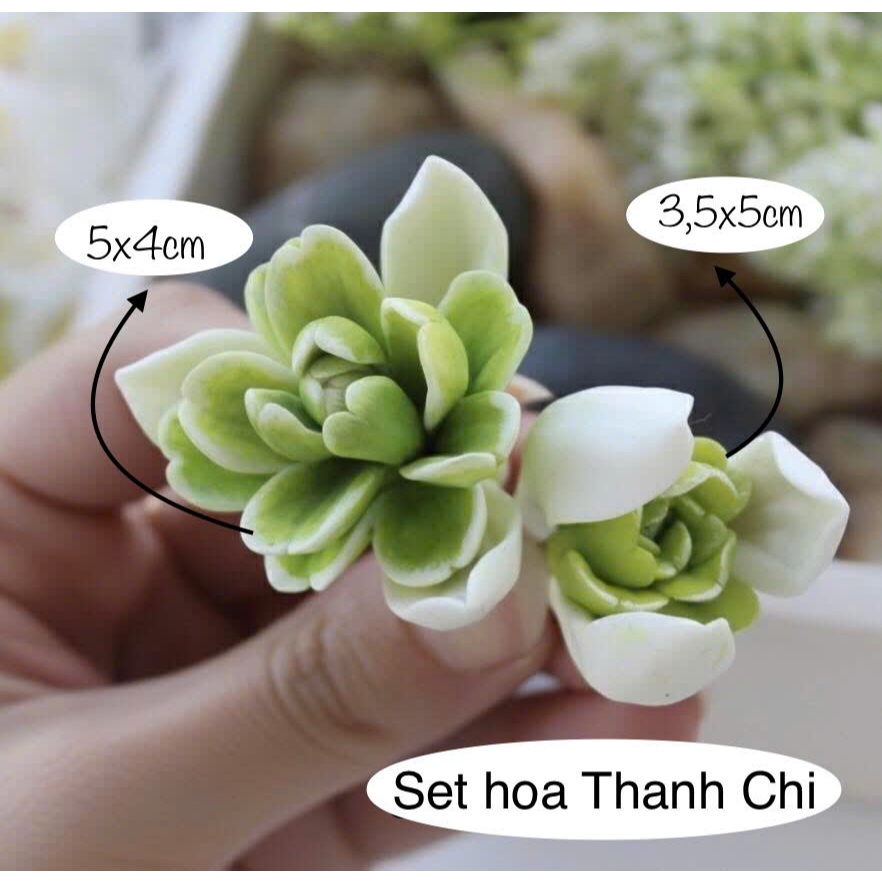 ธันจิชุดดอกไม้แม่พิมพ์ซิลิโคน