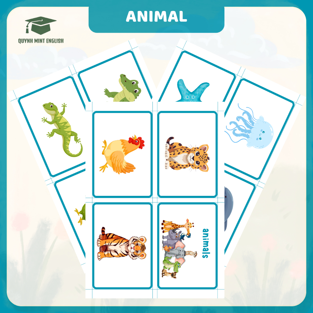 ANIMAL - ชุดการ์ดคําศัพท์ภาษาอังกฤษ - แฟลชการ์ด - การ์ดคําศัพท์ธีม ANIMAL