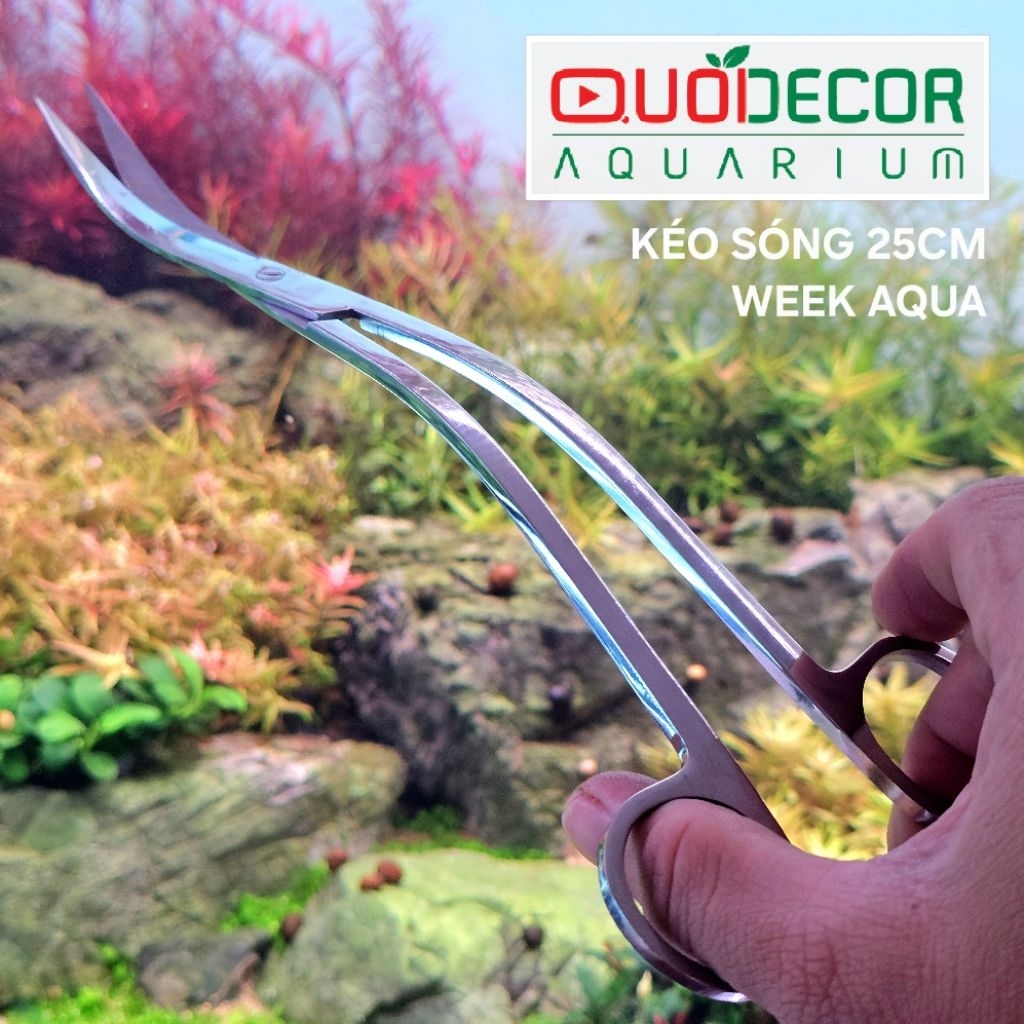 Week aqua กรรไกรน้ําหยักคุณภาพสูง SUS 420 สแตนเลส