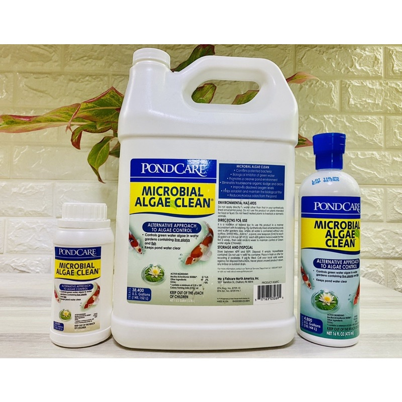 API Microbial Algae Clean - จุลินทรีย์ที่กินดิบ สาหร่าย โคลน สารตกค้างออร์แกนิก
