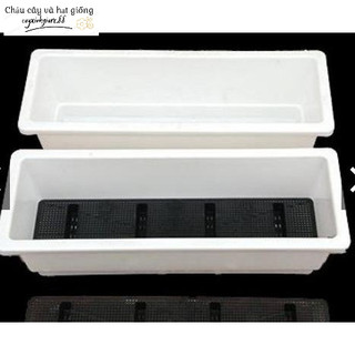 Combo 2 Chậu nhựa trồng hoa, trồng rau, trồng cây cảnh hình chữ nhật thông minh KT 48X20X16cm