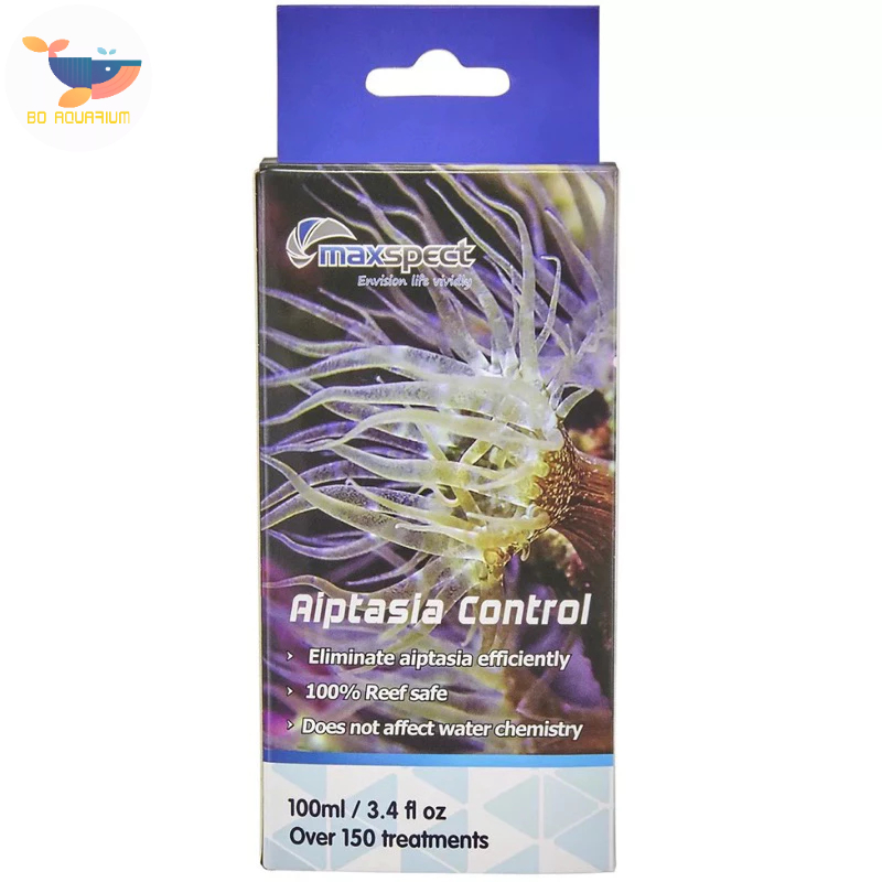 Aipastasia Control Maxspect - ดอกไม้ทะเลเท้าห่านสําหรับตู้ปลาทะเล