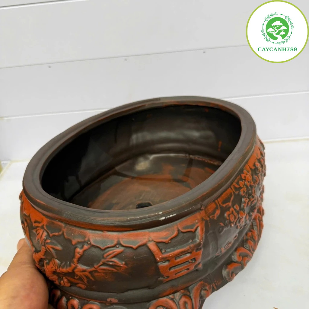 Ang Oval คุณภาพสูงดินเผาบอนไซหม้อเซรามิก LxWxH 20x30x11 ซม. พร้อมบอนไซลายดอกไม้แอปริคอท